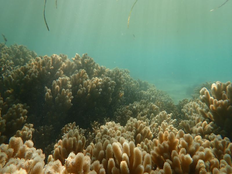 Viewing photos→2018→2018-09-09→47