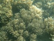 48.jpg - 2018:09:09 03:12:07