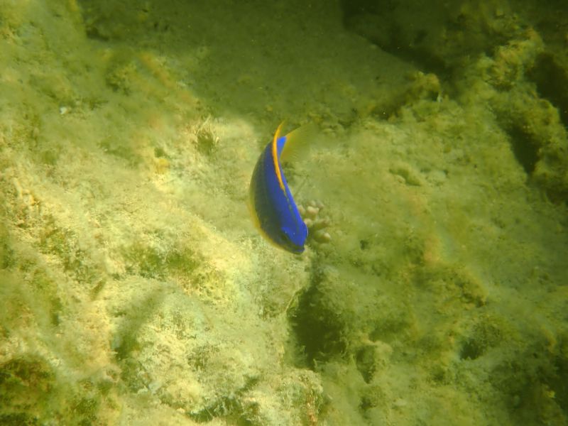 Viewing photos→2018→2018-09-09→49