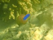 50.jpg - 2018:09:09 03:14:49