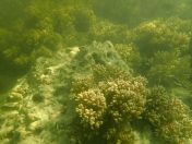 51.jpg - 2018:09:09 03:15:00