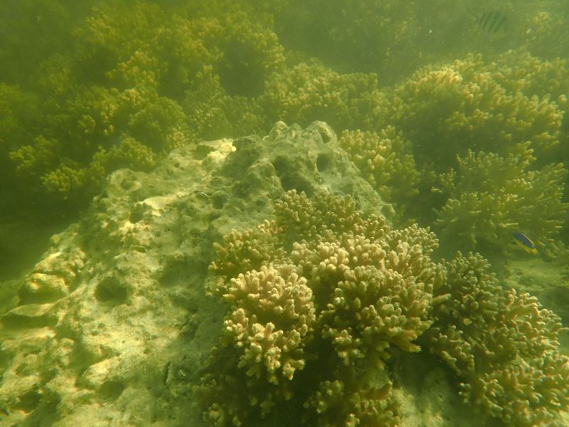 Viewing photos→2018→2018-09-09→51