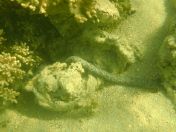 53.jpg - 2018:09:09 03:15:13