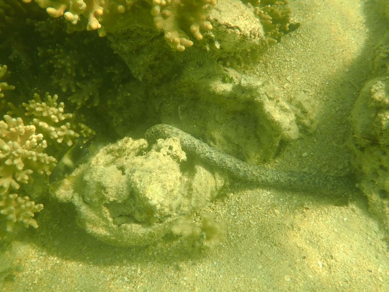 Viewing photos→2018→2018-09-09→53