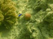 54.jpg - 2018:09:09 03:15:18