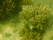 55.jpg - 2018:09:09 03:16:03