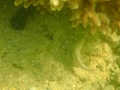 56.jpg - 2018:09:09 03:16:15