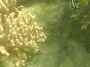 57.jpg - 2018:09:09 03:16:30