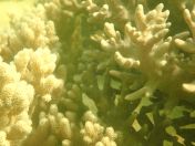 58.jpg - 2018:09:09 03:16:32