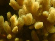 59.jpg - 2018:09:09 03:16:48