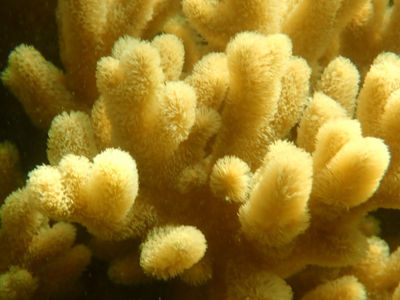 Viewing photos→2018→2018-09-09→60