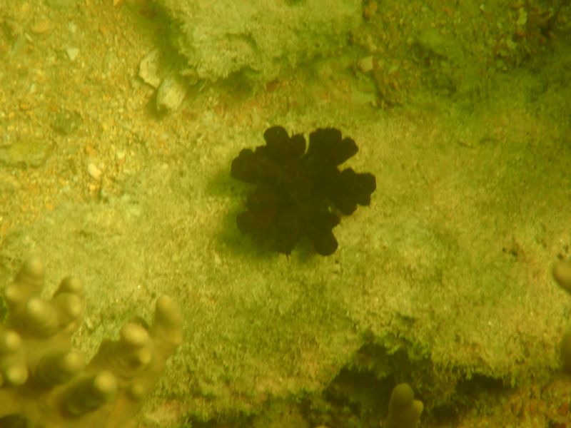 Viewing photos→2018→2018-09-09→64