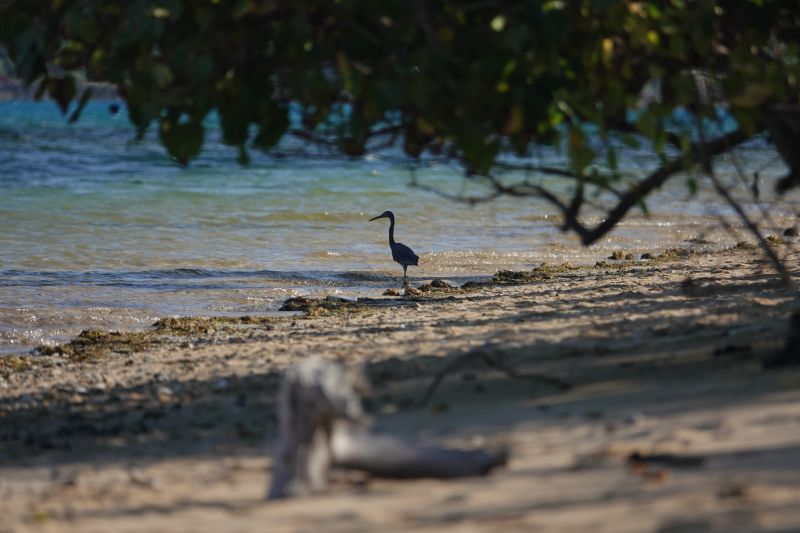 Viewing photos→2018→2018-09-09→66