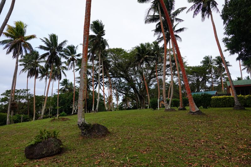 Viewing photos→2018→2018-09-10-2→01