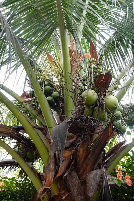 Viewing photos→2018→2018-09-10-2→03