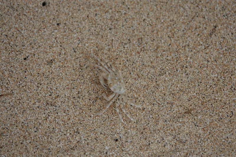 Viewing photos→2018→2018-09-10-2→05