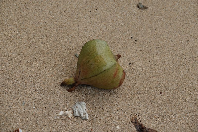 Viewing photos→2018→2018-09-10-2→08