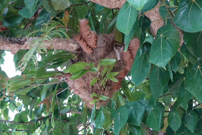 Viewing photos→2018→2018-09-10-2→09