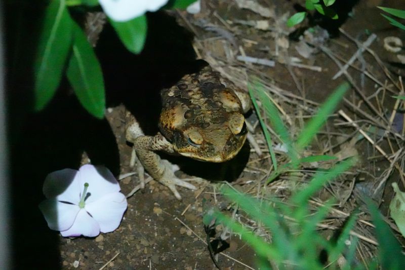 Viewing photos→2018→2018-09-10-2→11