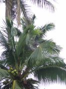 13.jpg - 2018:09:13 03:48:22