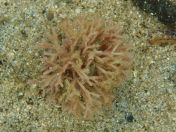 14.jpg - 2018:09:13 03:52:14