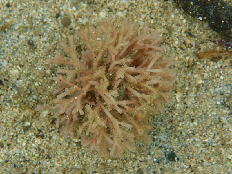 Viewing photos→2018→2018-09-10-2→14