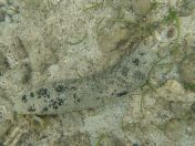 15.jpg - 2018:09:13 03:53:21