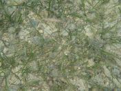 16.jpg - 2018:09:13 03:53:29