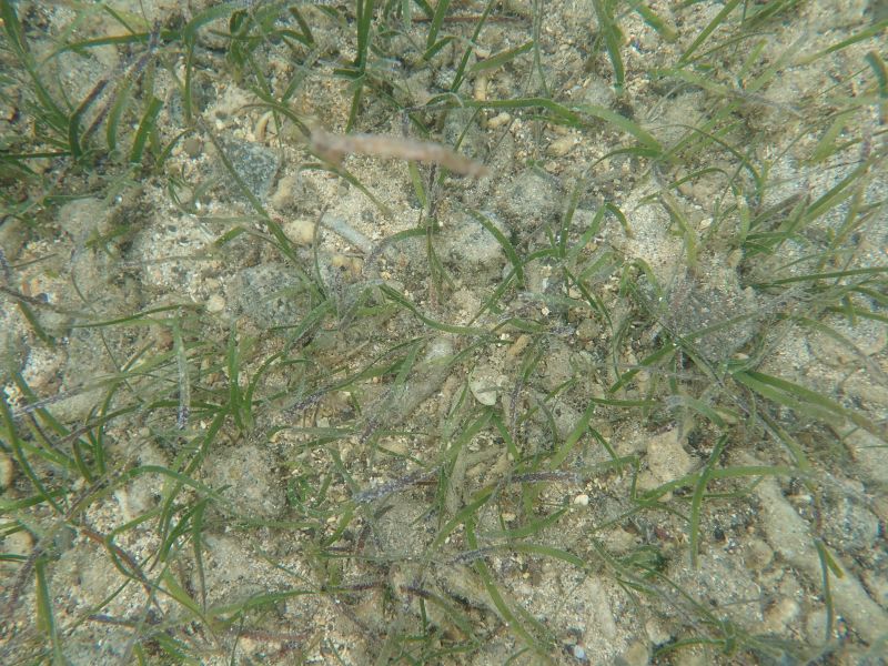 Viewing photos→2018→2018-09-10-2→16