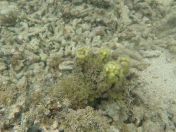 17.jpg - 2018:09:13 03:54:14