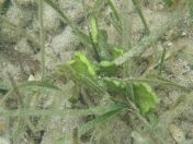 18.jpg - 2018:09:13 03:55:39