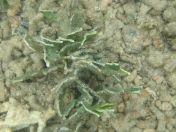 19.jpg - 2018:09:13 03:55:51