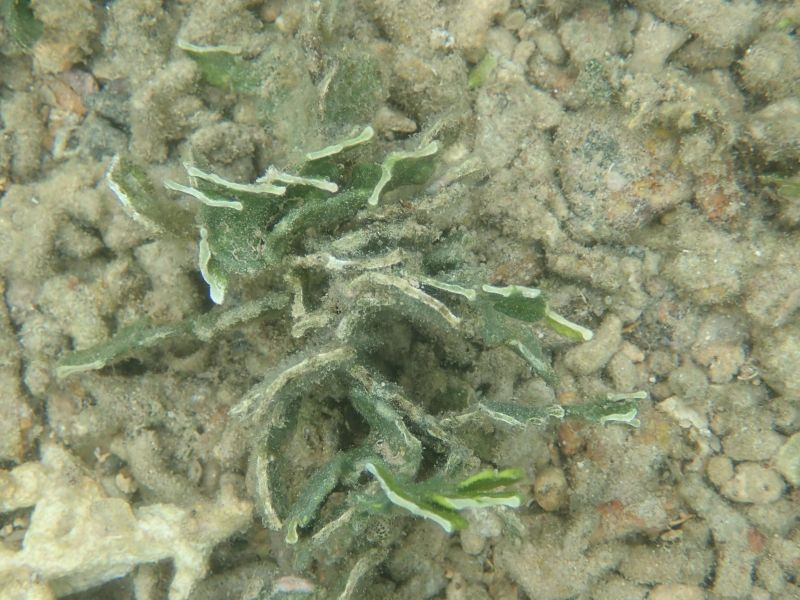 Viewing photos→2018→2018-09-10-2→19