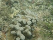 20.jpg - 2018:09:13 03:56:20