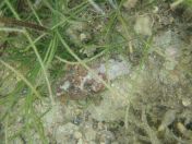 21.jpg - 2018:09:13 03:56:45