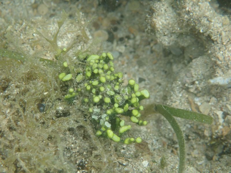 Viewing photos→2018→2018-09-10-2→22