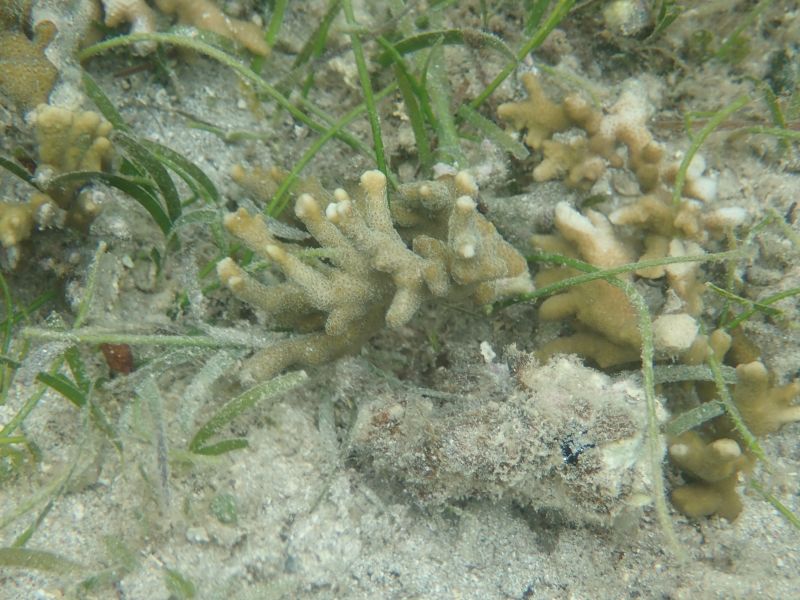 Viewing photos→2018→2018-09-10-2→23