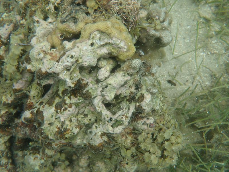 Viewing photos→2018→2018-09-10-2→24