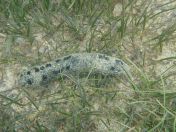 25.jpg - 2018:09:13 04:01:04