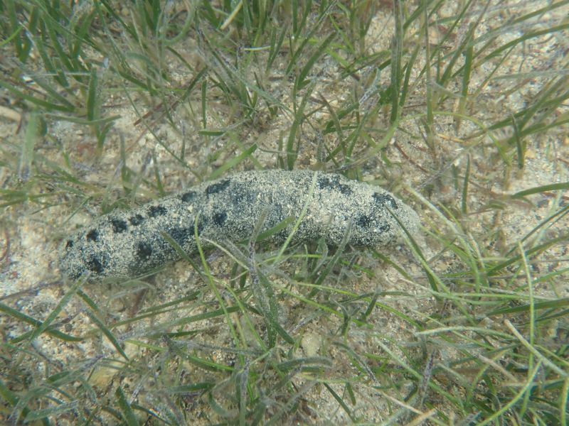 Viewing photos→2018→2018-09-10-2→25