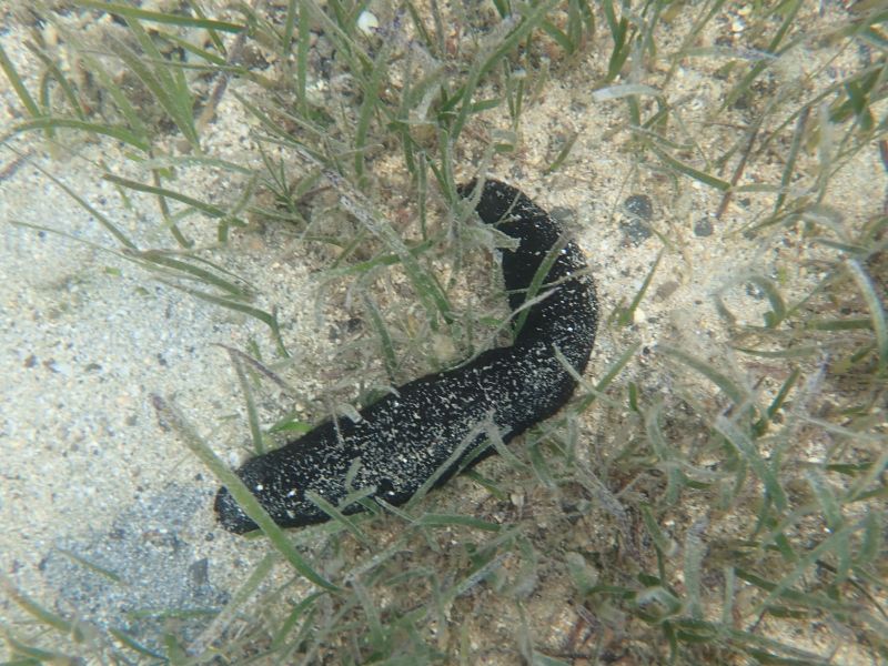 Viewing photos→2018→2018-09-10-2→26