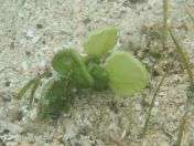 27.jpg - 2018:09:13 04:04:32