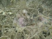 28.jpg - 2018:09:13 04:05:53