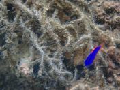 31.jpg - 2018:09:13 04:08:51