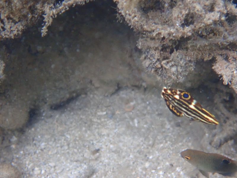 Viewing photos→2018→2018-09-10-2→32