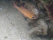 33.jpg - 2018:09:13 04:09:18