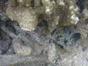 34.jpg - 2018:09:13 04:11:17