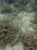 35.jpg - 2018:09:13 04:14:28