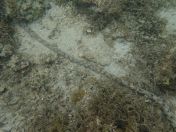 36.jpg - 2018:09:13 04:14:44