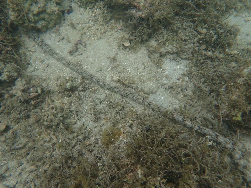 Viewing photos→2018→2018-09-10-2→36